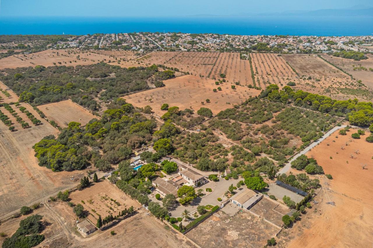 Els Marsals Villa Llucmajor  Eksteriør billede